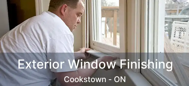  Exterior Window Finishing Cookstown - ON