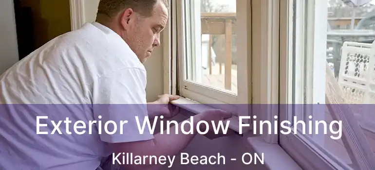  Exterior Window Finishing Killarney Beach - ON