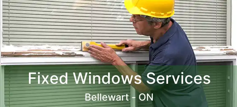  Fixed Windows Services Bellewart - ON