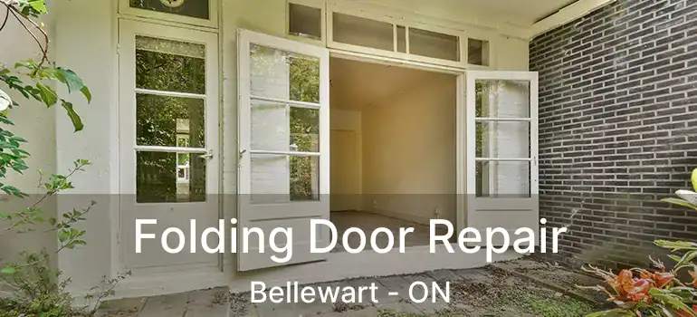  Folding Door Repair Bellewart - ON