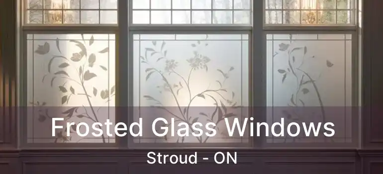  Frosted Glass Windows Stroud - ON