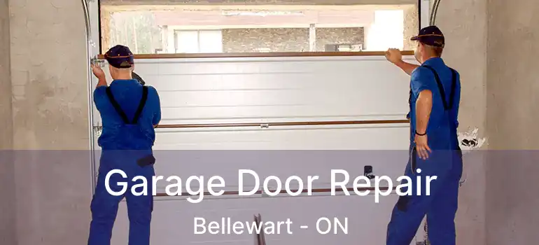  Garage Door Repair Bellewart - ON