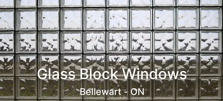  Glass Block Windows Bellewart - ON