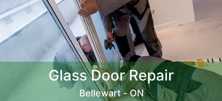  Glass Door Repair Bellewart - ON