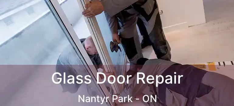  Glass Door Repair Nantyr Park - ON