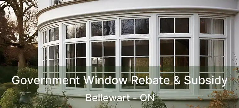  Government Window Rebate & Subsidy Bellewart - ON