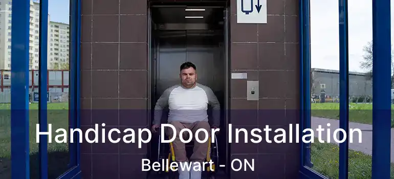  Handicap Door Installation Bellewart - ON