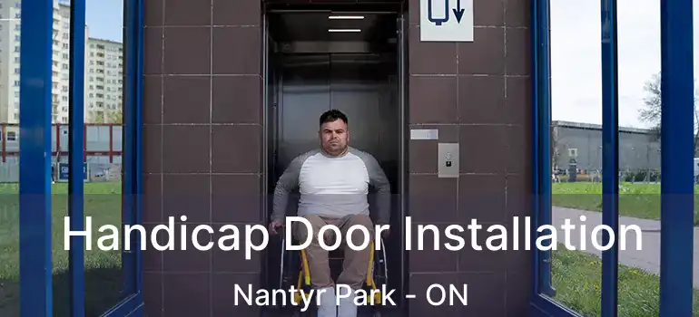  Handicap Door Installation Nantyr Park - ON