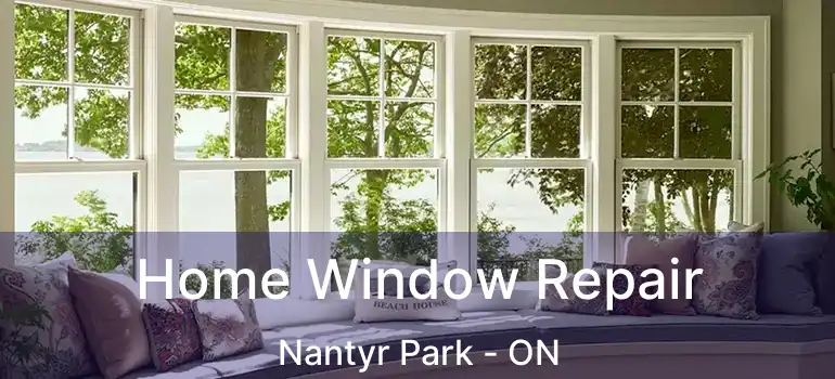  Home Window Repair Nantyr Park - ON