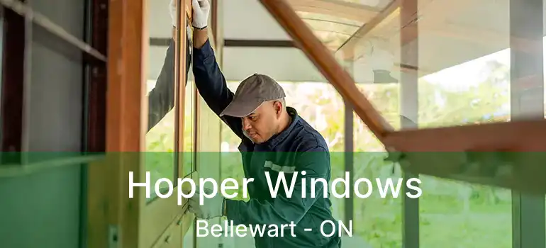  Hopper Windows Bellewart - ON