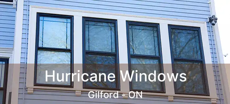  Hurricane Windows Gilford - ON