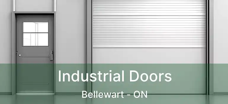  Industrial Doors Bellewart - ON