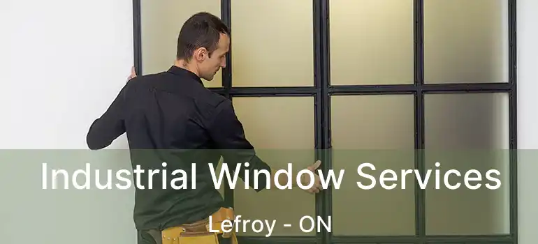  Industrial Window Services Lefroy - ON