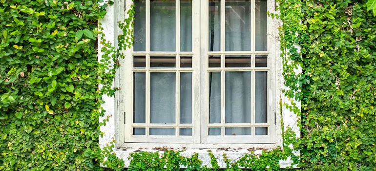 Garden Window Repair Near Me in Killarney Beach, ON