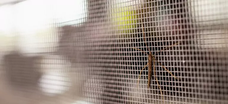 Repair Mosquito Mesh For Windows in Killarney Beach, Ontario