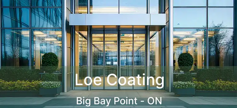  Loe Coating Big Bay Point - ON
