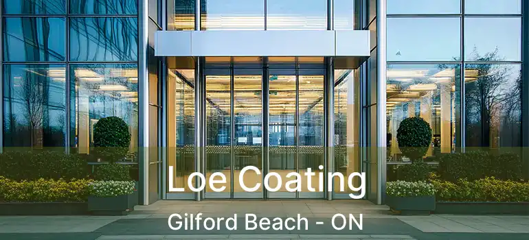  Loe Coating Gilford Beach - ON