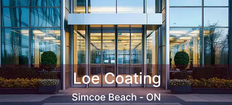  Loe Coating Simcoe Beach - ON