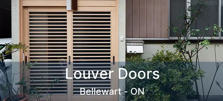  Louver Doors Bellewart - ON