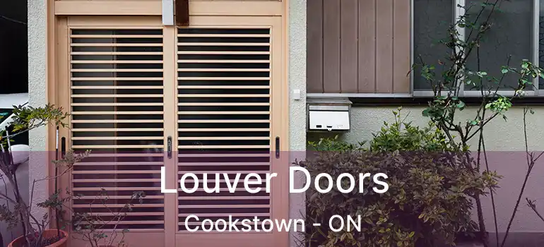  Louver Doors Cookstown - ON