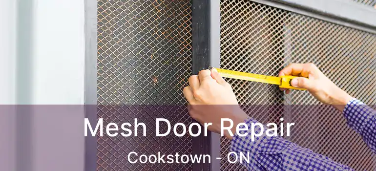  Mesh Door Repair Cookstown - ON