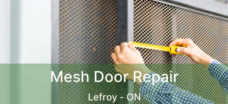  Mesh Door Repair Lefroy - ON