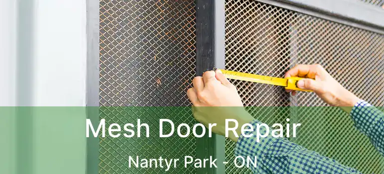  Mesh Door Repair Nantyr Park - ON