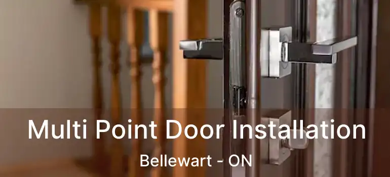  Multi Point Door Installation Bellewart - ON