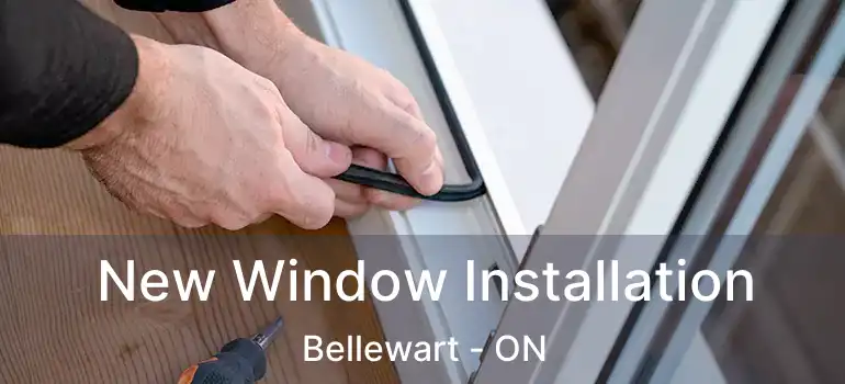  New Window Installation Bellewart - ON