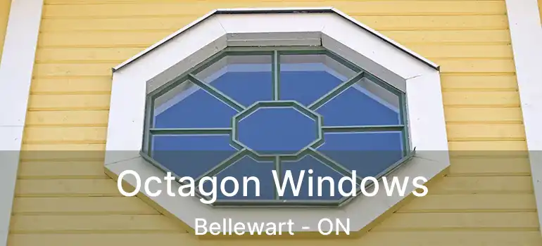  Octagon Windows Bellewart - ON