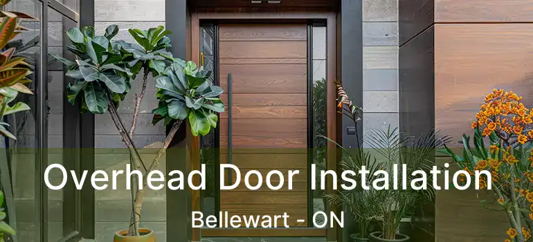  Overhead Door Installation Bellewart - ON