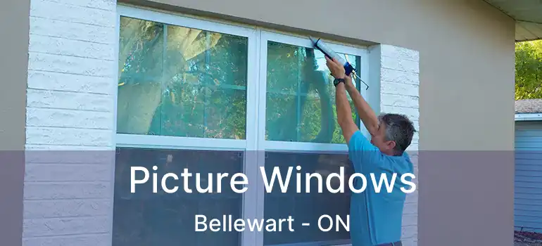  Picture Windows Bellewart - ON
