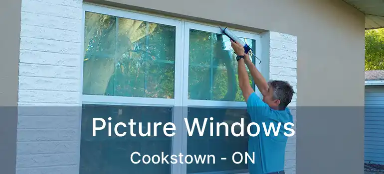  Picture Windows Cookstown - ON