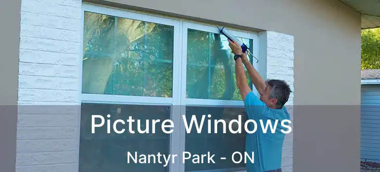  Picture Windows Nantyr Park - ON