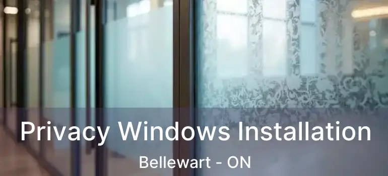  Privacy Windows Installation Bellewart - ON