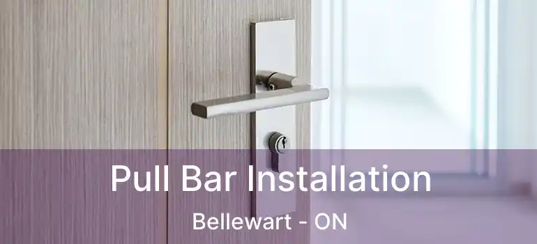  Pull Bar Installation Bellewart - ON