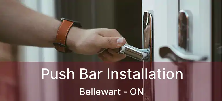  Push Bar Installation Bellewart - ON
