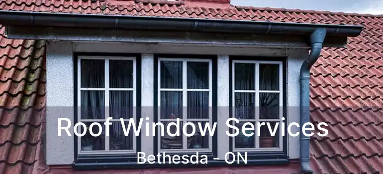  Roof Window Services Bethesda - ON