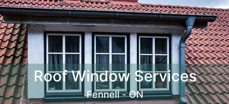  Roof Window Services Fennell - ON