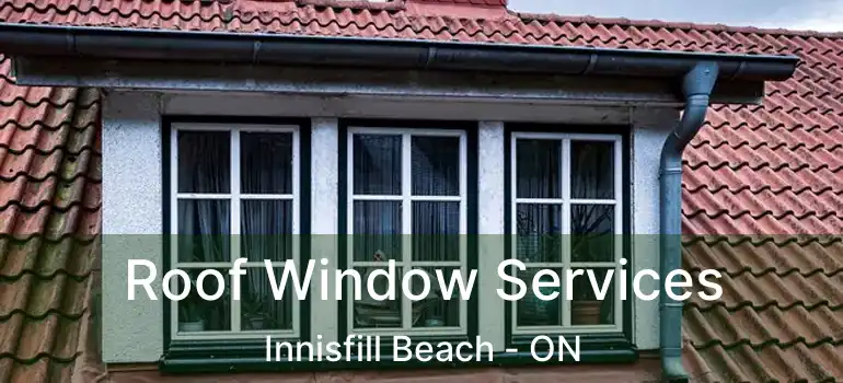  Roof Window Services Innisfill Beach - ON