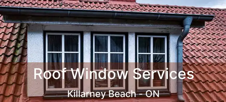  Roof Window Services Killarney Beach - ON