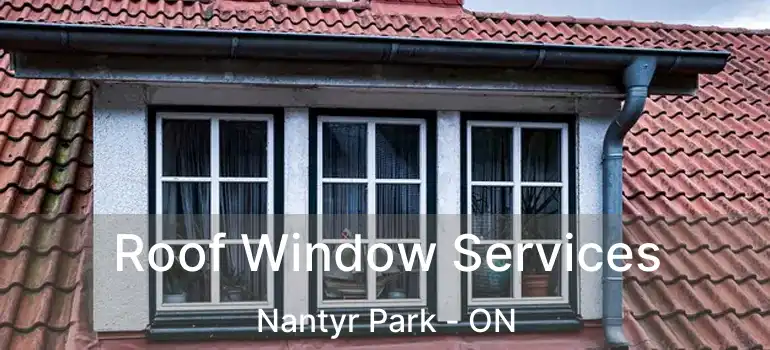  Roof Window Services Nantyr Park - ON