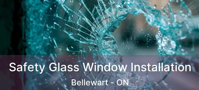  Safety Glass Window Installation Bellewart - ON