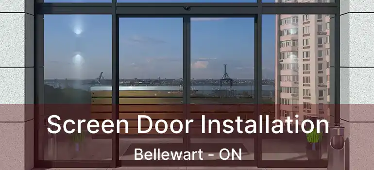  Screen Door Installation Bellewart - ON
