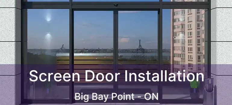 Screen Door Installation Big Bay Point - ON