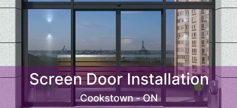  Screen Door Installation Cookstown - ON