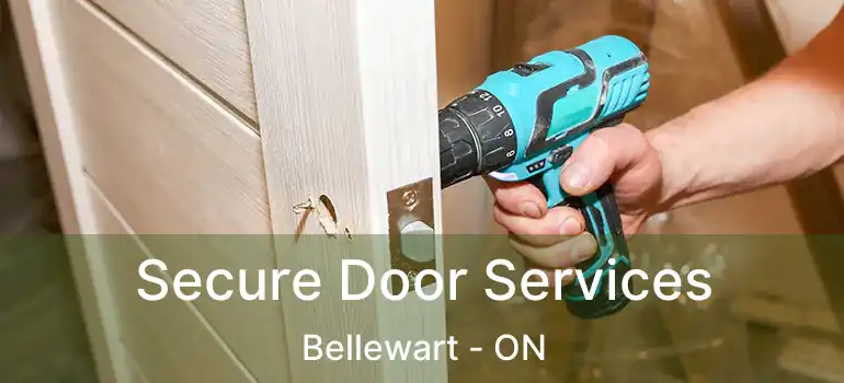  Secure Door Services Bellewart - ON