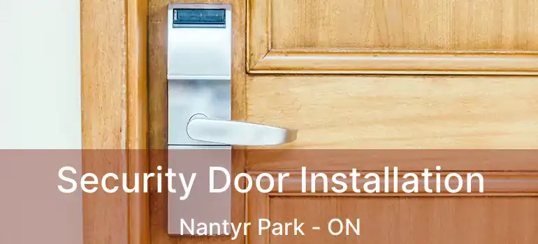  Security Door Installation Nantyr Park - ON