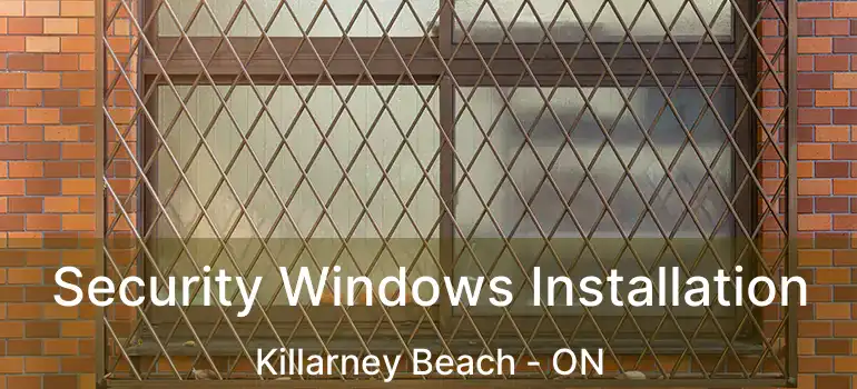  Security Windows Installation Killarney Beach - ON
