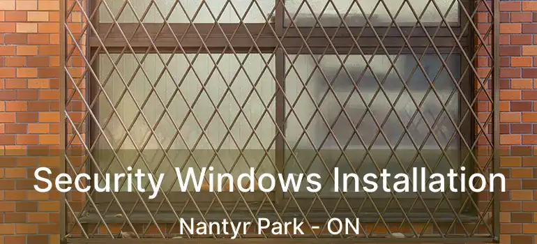  Security Windows Installation Nantyr Park - ON